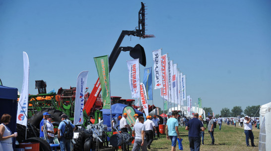 Представители event-отрасли написали открытое письмо губернатору Воронежской области