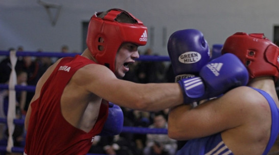 Воронежцев позвали на бесплатную тренировку по боксу под руководством чемпиона России