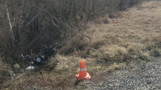 Труп мужчины нашли в овраге рядом с дорогой под Воронежем