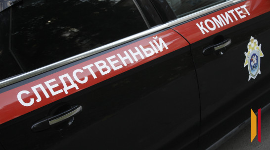 В Воронежской области мать систематически избивала 3-летнего сына