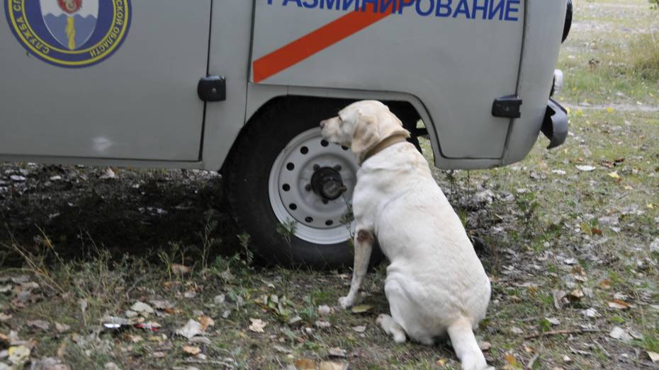 В Воронежской области оцепили банк из-за ложного сообщения о минировании