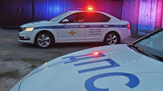 За перевозку детей без кресел оштрафовали почти 3 тыс водителей в Воронежской области