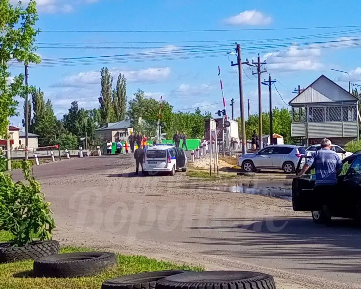 Поезд насмерть сбил женщину на переезде под Воронежем