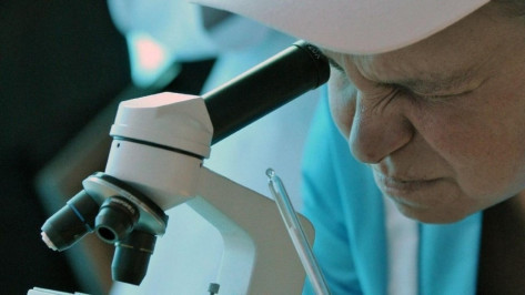 В России упразднили Федеральное агентство научных организаций