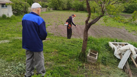 С «Заботой» и «Терпением»: как воронежские волонтеры помогают сельским жителям справляться с трудными ситуациями