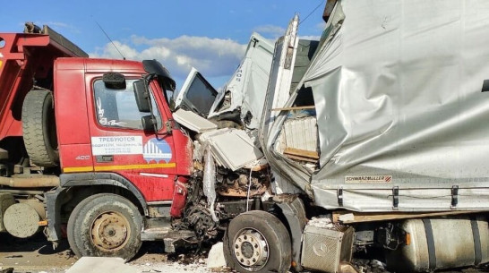 Следователи заинтересовались аварией со слетевшей с трассы фурой в Воронежской области