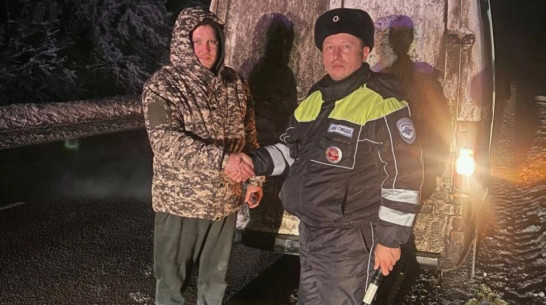 Двойная удача на дороге: водителю помогли воронежские полицейские с одинаковыми именами и фамилиями