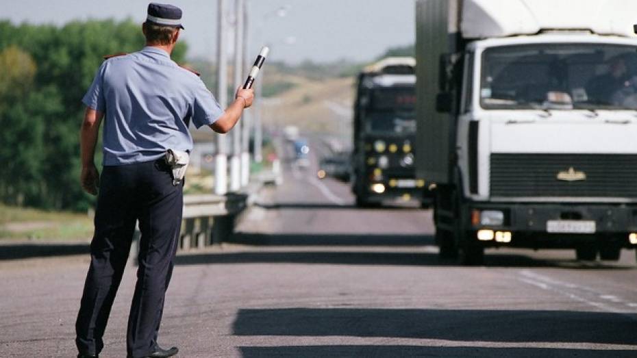 Дополнительные экипажи ДПС предложили разместить возле села Лосево Воронежской области 