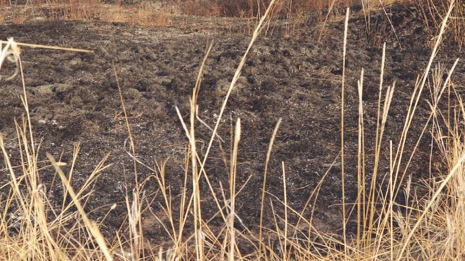 В Богучарском районе за выходные выгорело около гектара сухой травы