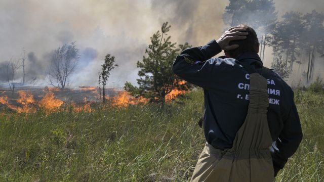 С начала 2021 года в Воронежской области зарегистрировали 2,3 тыс ландшафтных пожаров