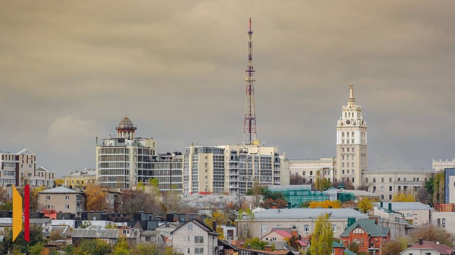 В Стратегию социально-экономического развития Воронежской области внесут изменения
