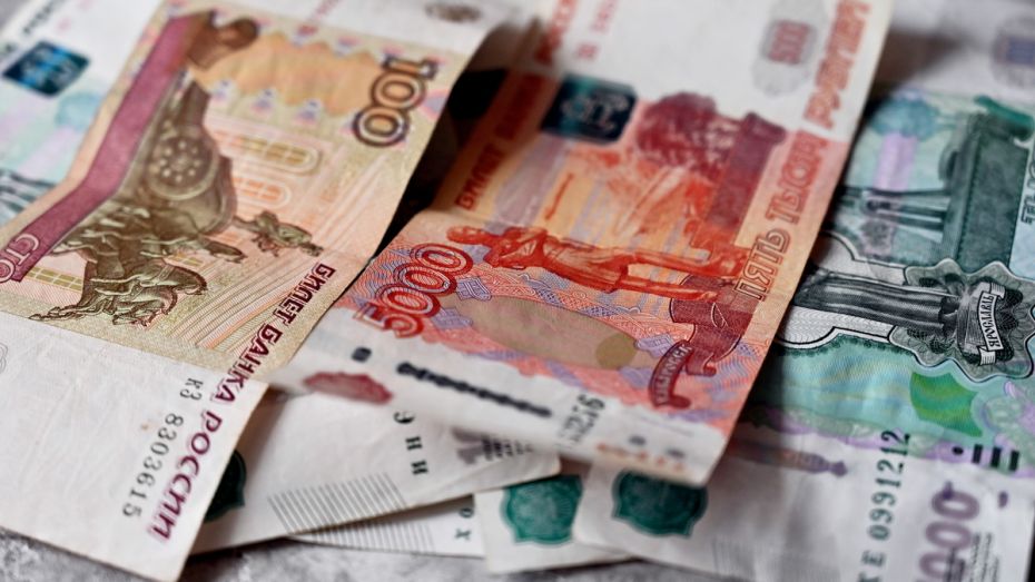 Аналитики назвали отрасль с самой высокой зарплатой в Воронежской области
