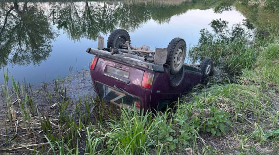 В Воронежской области «Нива» вылетела с дороги в реку