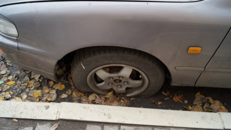 В Воронеже подростки угнали автомобиль ради вечерних посиделок