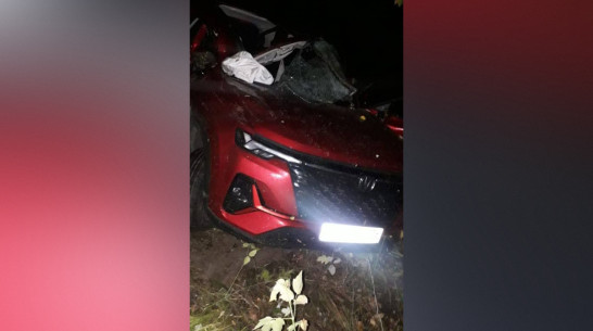 В Воронежской области дошло до суда дело водителя, обвиняемого в гибели 25-летней девушки в ДТП