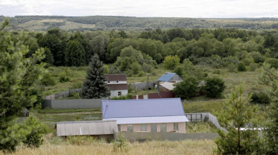 На поддержку воронежских сел в 2021 году власти попытаются привлечь 4,5 млрд рублей