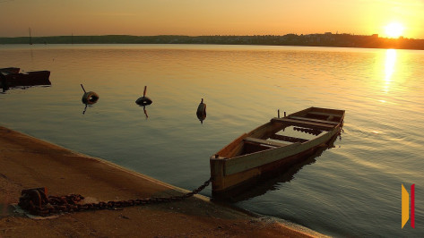 Итоги недели. Что важного произошло в Воронежской области с 21 по 27 июля