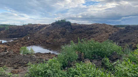 Производителя мяса обвинили в загрязнении почвы под Воронежем