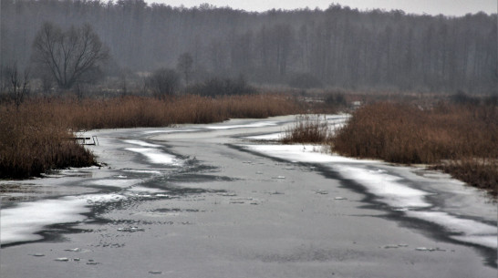 Под Воронежем мужчина провалился под лед на реке Усманка и умер от переохлаждения