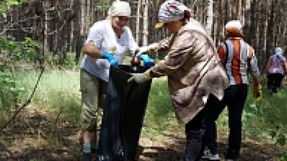 Около 700 верхнемамонцев приняли участие в акции «Чистый лес»