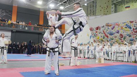 В Воронежских играх боевых искусств состязались около 1,5 тыс спортсменов