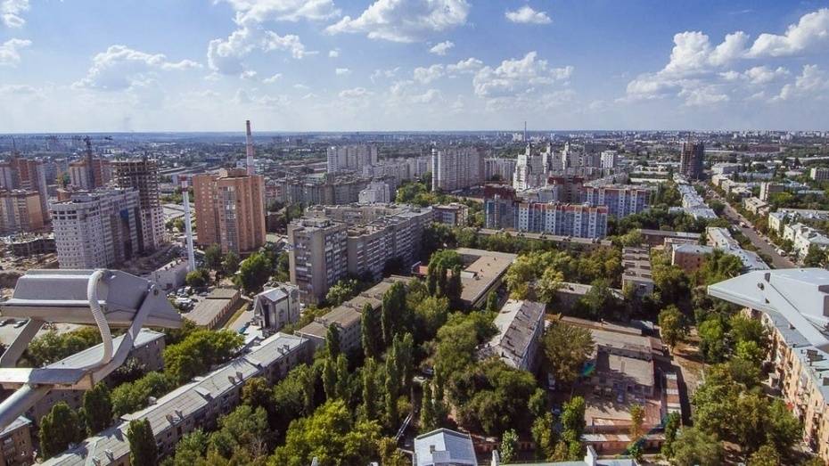 На план реализации стратегии Воронежской области до 2035 года выделили 11 млн рублей  