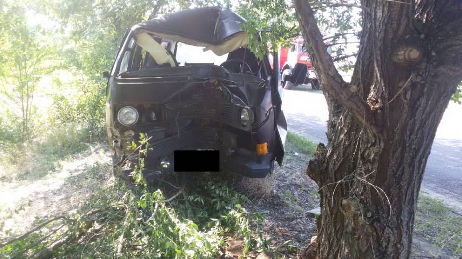 В Верхнемамонском районе Volkswagen врезался в дерево: пострадал 59-летний водитель