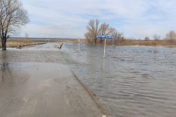 Частично ушел под воду мост через реку Черная Калитва в селе Воронежской области