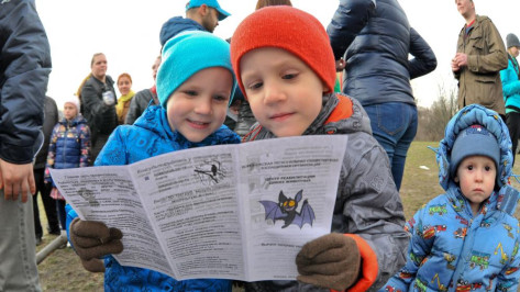 Детские занятия по изучению диких животных проведут в дни школьных каникул в Воронеже