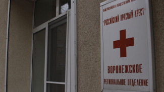 В Воронежской области эвакуированные из Украины получили первые выплаты от Красного Креста