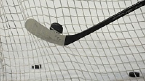 Воронеж присоединится к Ночной хоккейной лиге