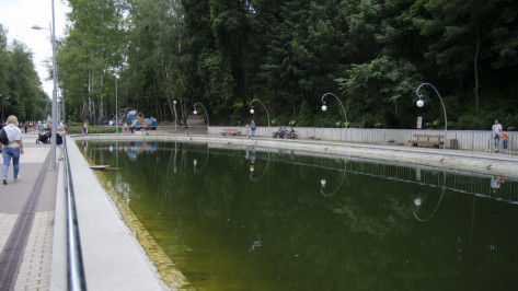 Ученые Воронежского опорного университета очистят водоемы Центрального парка 