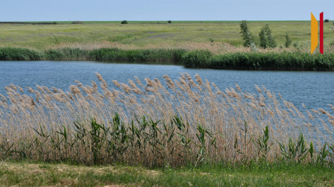 В Воронеже 13 августа ожидается сильный ветер