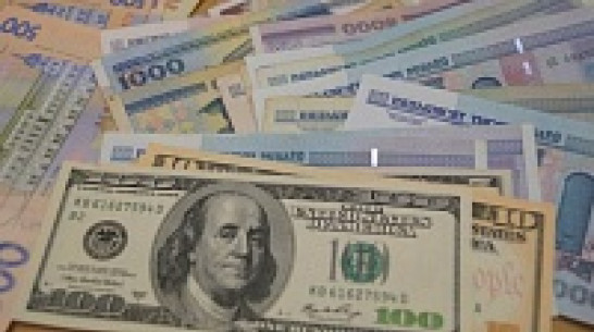 Воронежские депутаты хотят запретить главам городских поселений иметь счета в иностранных банках