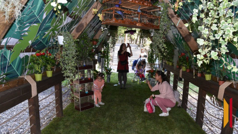 Открыт прием заявок на участие в воронежском фестивале «Город-сад»