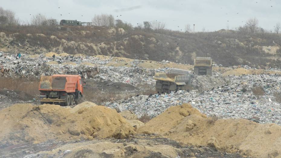 Воронежская область получит 79 млн рублей на создание мусоросортировочных комплексов