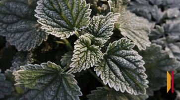 Воронежцев ждут холодные и сухие выходные