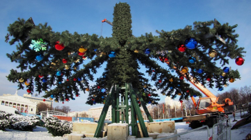 Главную елку Воронежа установят до 20 декабря