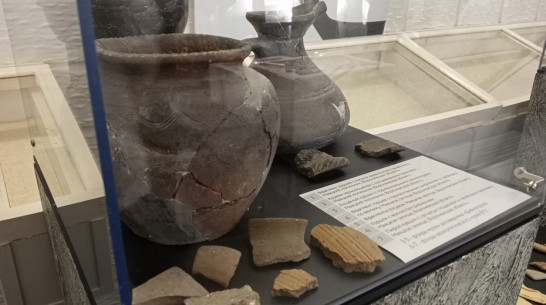 Жители Павловска смогут увидеть керамическую посуду VIII–X веков