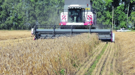 Инвестиции в сельское хозяйство Воронежской области за год выросли почти в два раза
