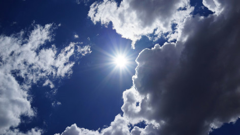 К концу первой недели июля в Воронеж вернется жара до +31 градуса