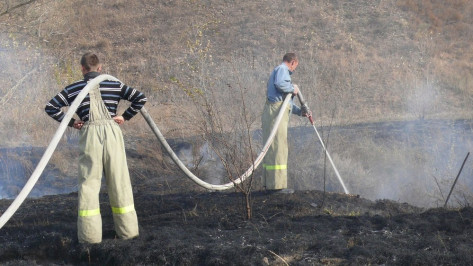 В селе под Рамонью из-за неосторожного обращения с огнем вспыхнул ландшафтный пожар