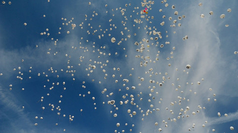 Воронежская область поднялась в рейтинге счастья