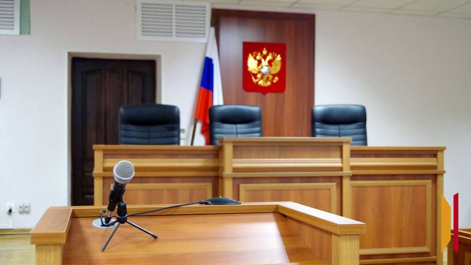 Жительницу Воронежской области лишили свободы за неуплату алиментов