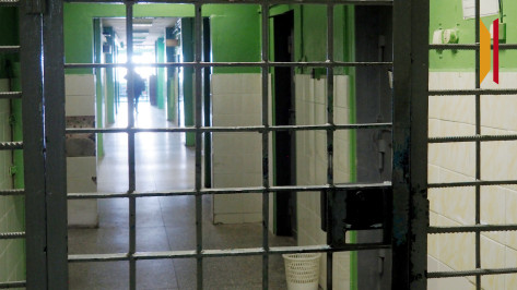 Воронежца приговорили к 5 годам колонии и конфисковали телефон за комментарии в соцсети