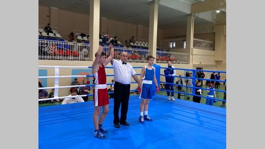 Боксеры из Борисоглебска завоевали 8 медалей на межрегиональном турнире