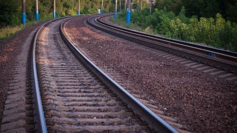 В Воронежской области на 2 дня отменят электричку Лиски – Сагуны