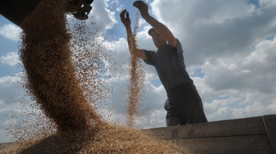 В Воронеже фермеры-новаторы получили награды конкурса «Правила роста»