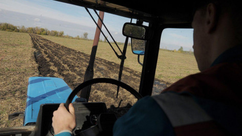 Тест РИА «Воронеж». Какой из вас работник сельского хозяйства?