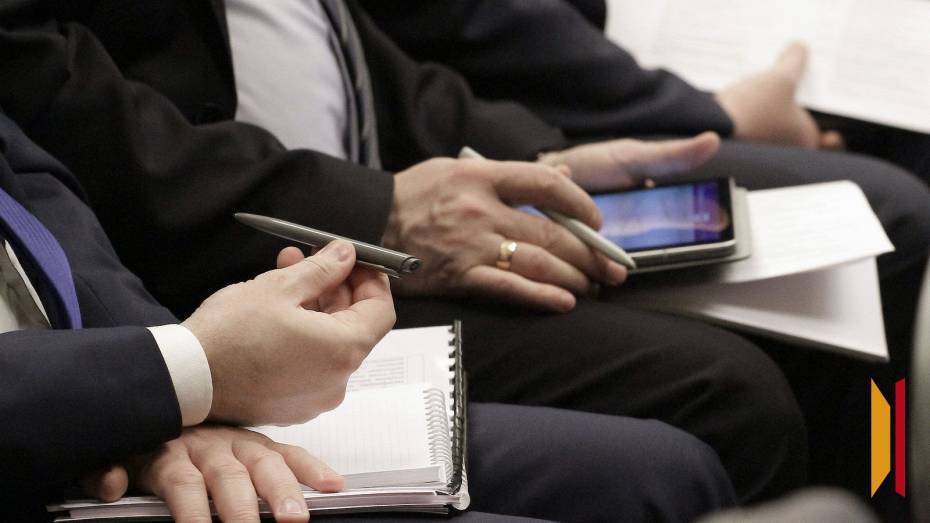 Воронежские компании могут получить господдержку при соответствии ЭКГ-рейтингу